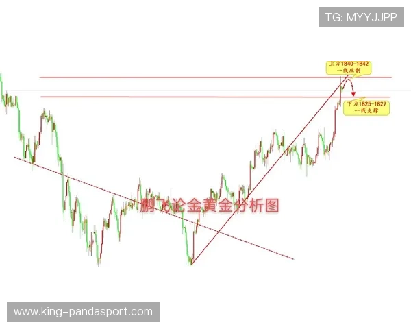 瓦伦西亚俱乐部全景解析及未来发展战略探讨