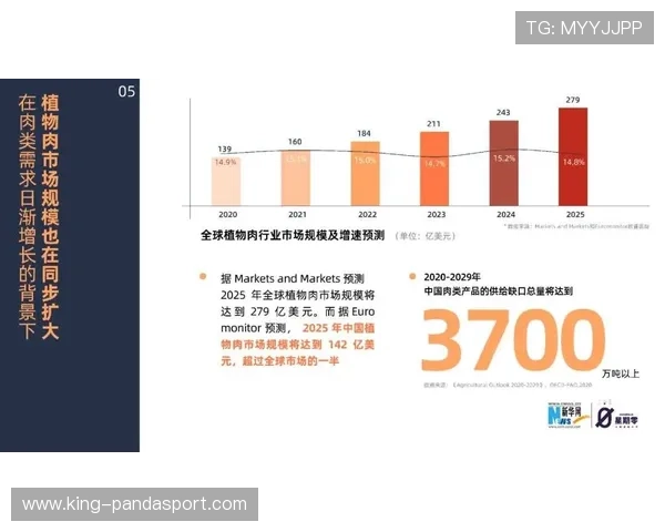 解析赛场背后的秘密洞察足球比赛数据的深度解读与趋势分析方法